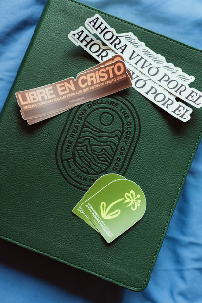 PACK DE STICKERS