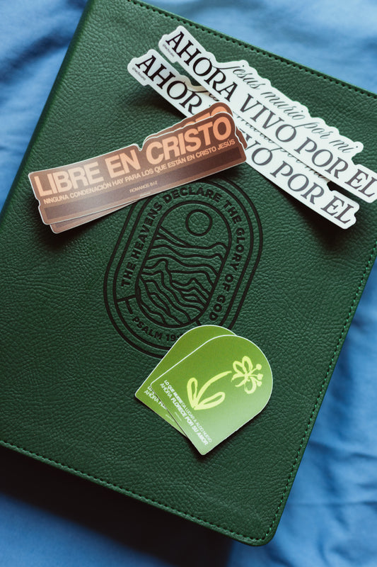 PACK DE STICKERS